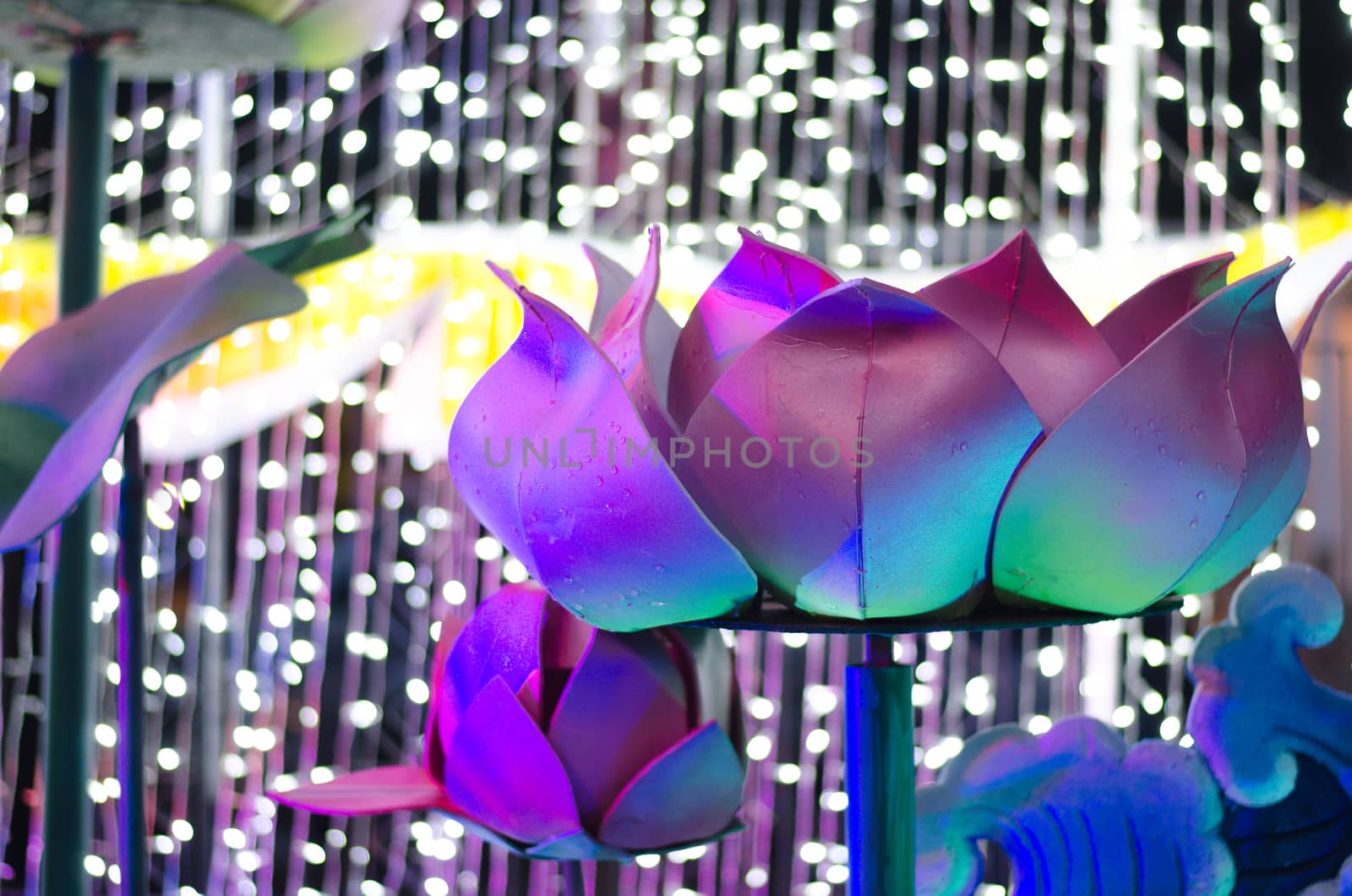 Nightly colorful lights in beautiful colors.lotus