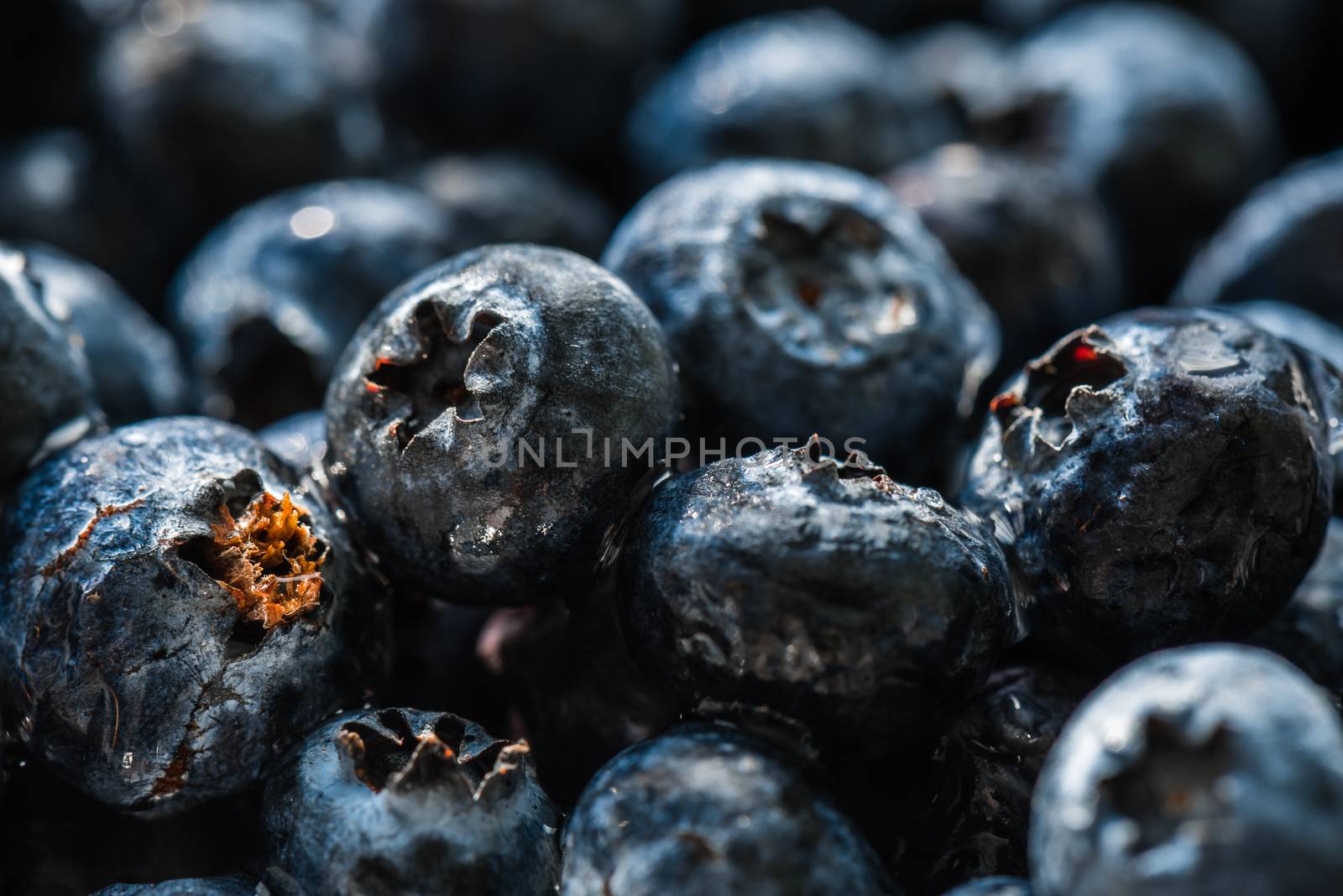 Blueberries closeup with water drops. Horizontal background.