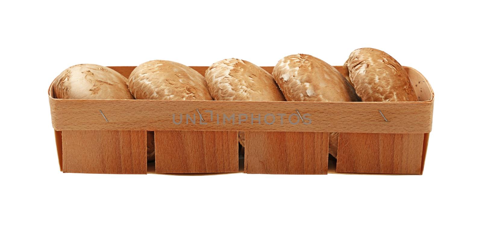 Close up one wooden crate box of fresh brown portobello mushrooms isolated on white background, low angle side view