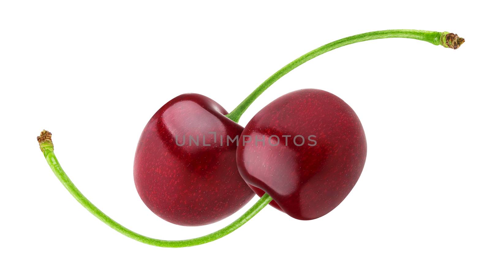 Two fresh cherries on white background. Cherry isolated
