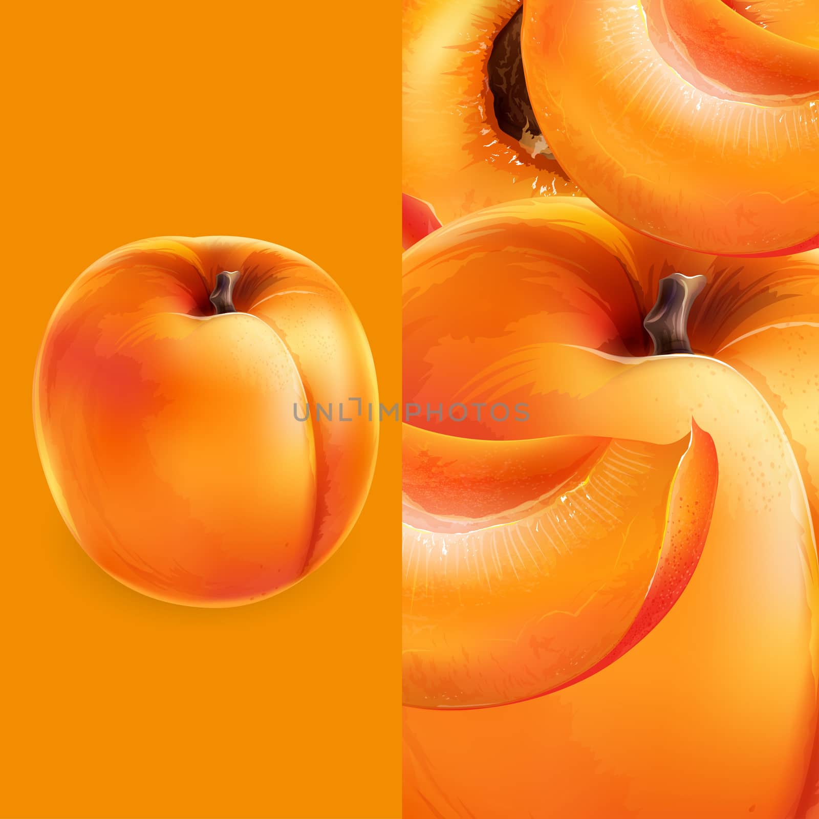 Apricot and cut slices on a bright orange background.