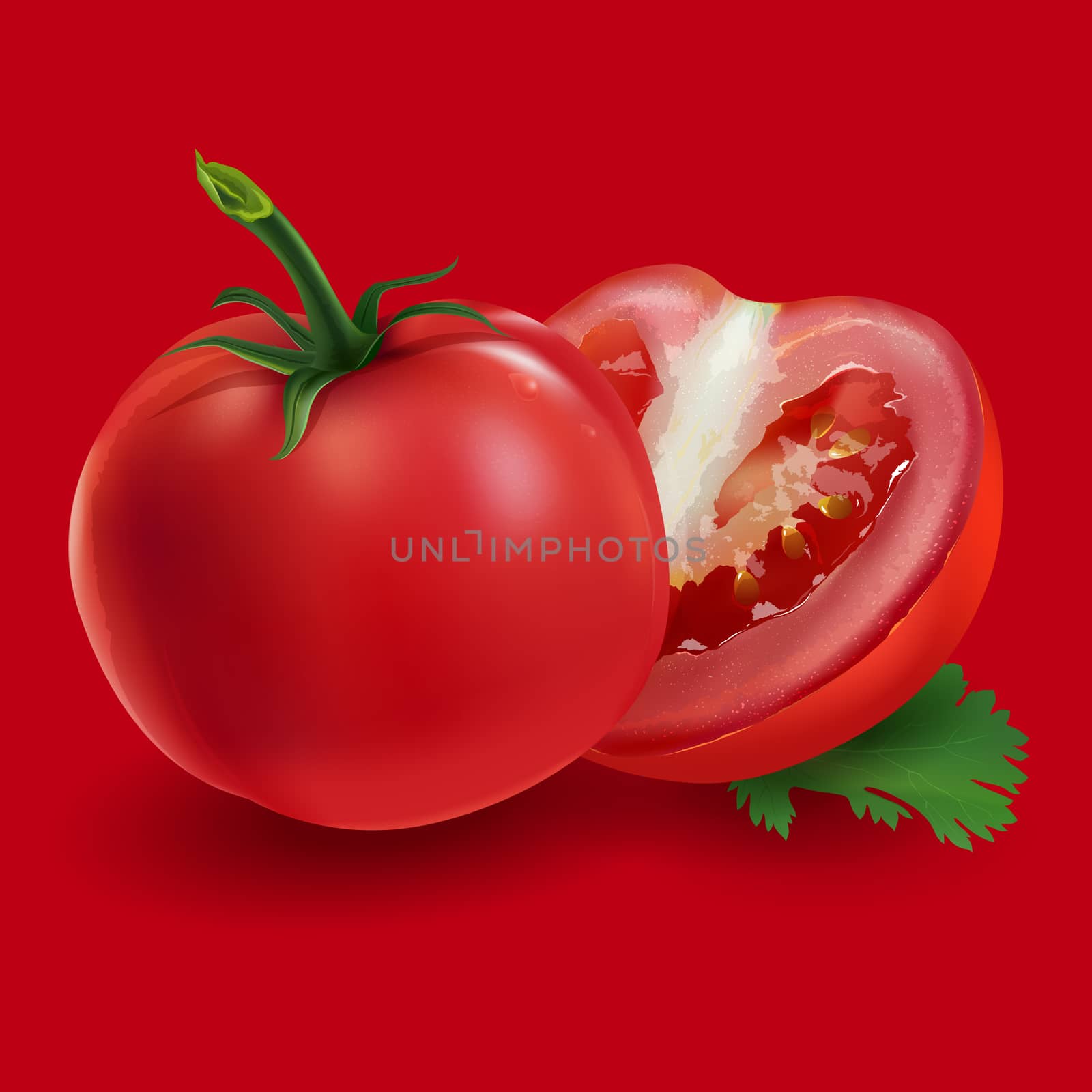 Realistic fresh tomatoes on a red background.