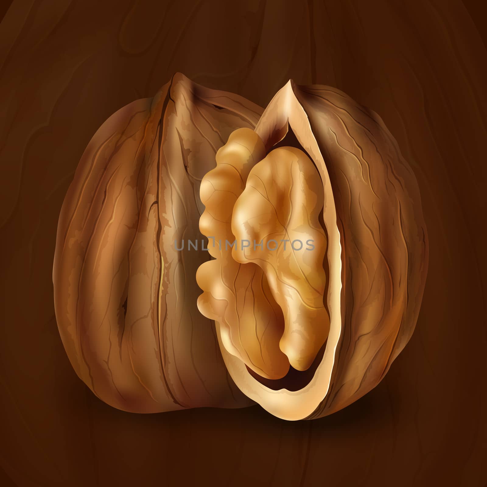 Walnut on a brown background by ConceptCafe