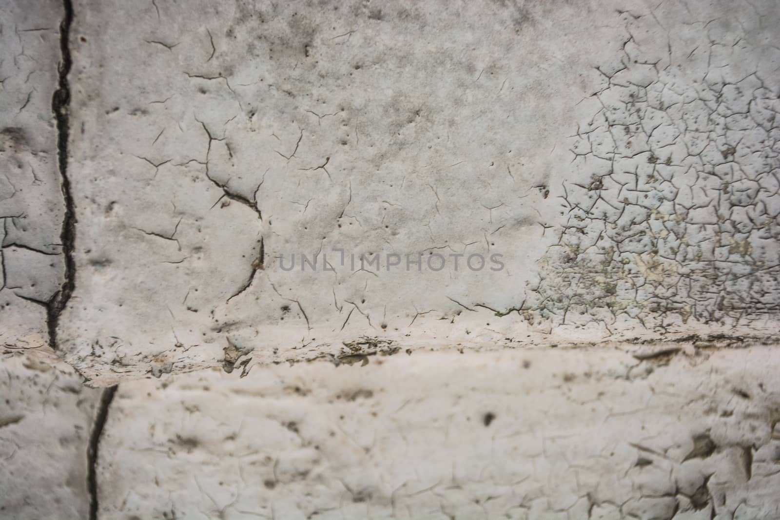 White cracked wall with mos and fungus by Kinetoscope
