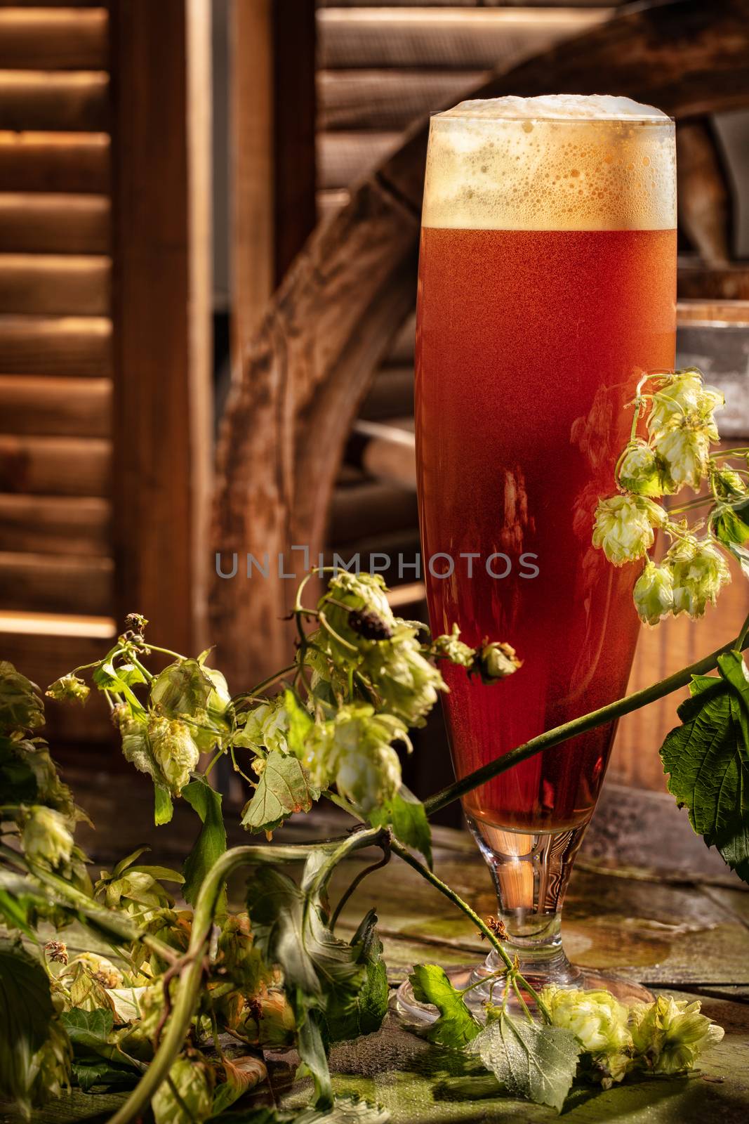 Glass of brown ale on an old wooden desk