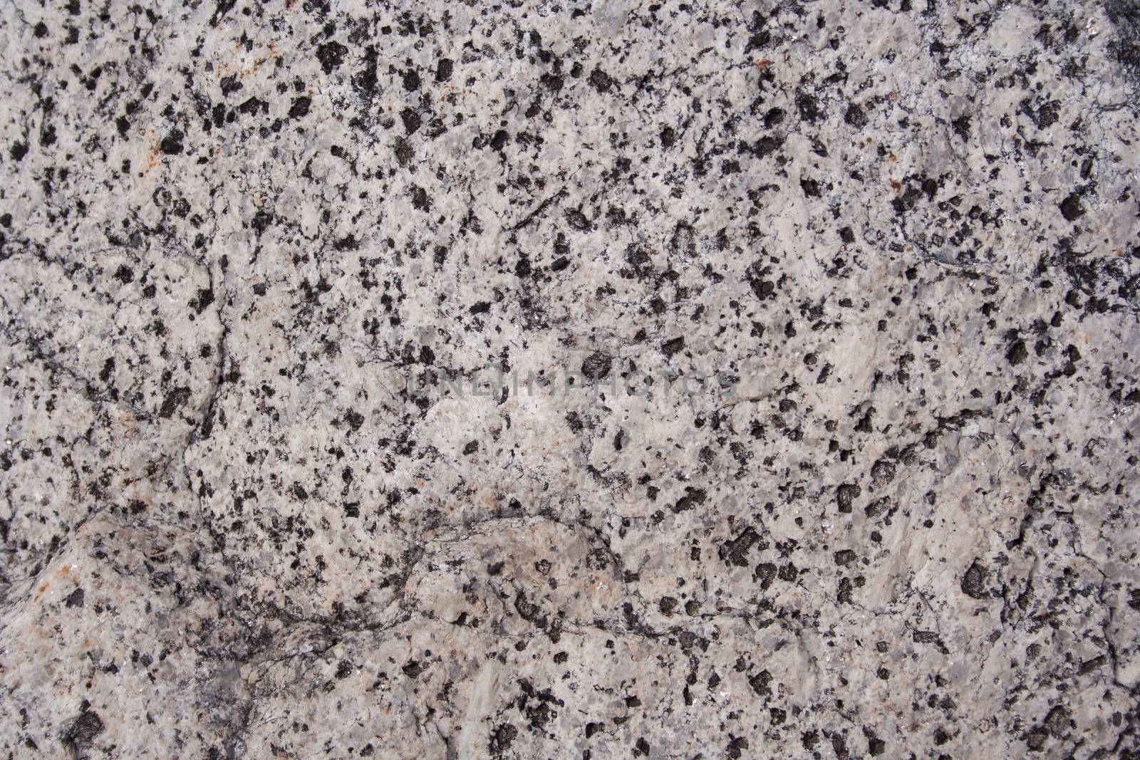 Stone Surface Texture