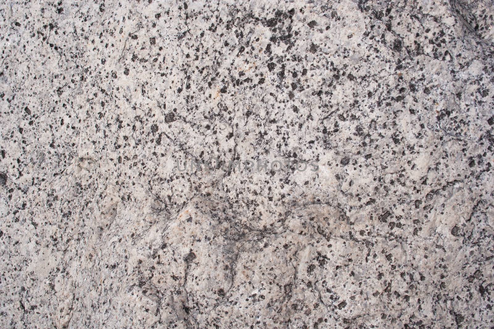 Rock Surface Texture