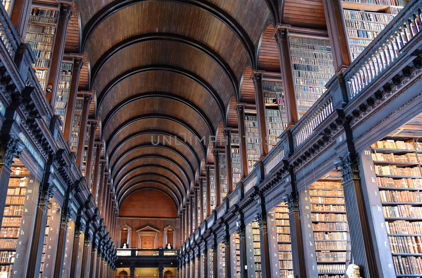 The Long Room in the Old Library at Trinity College Dublin.