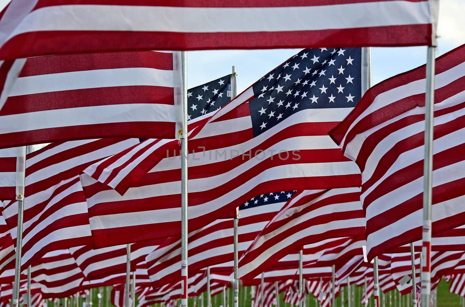 A field of American flags.