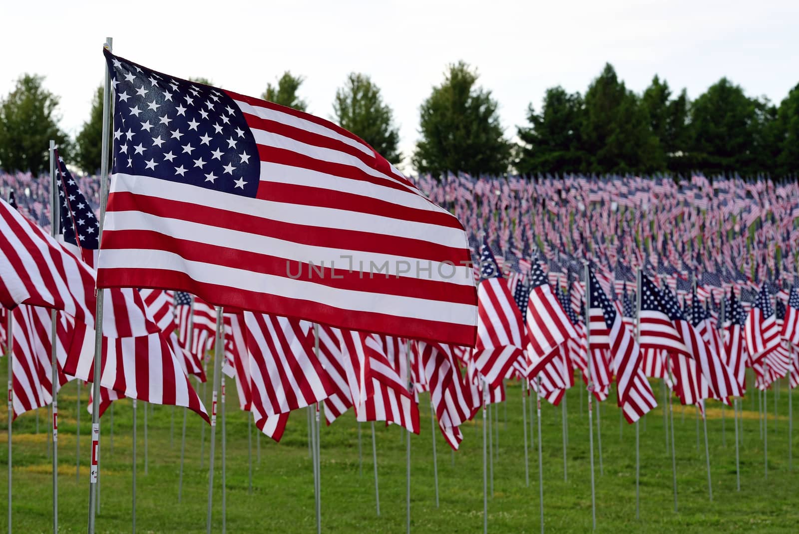 A field of American flags.