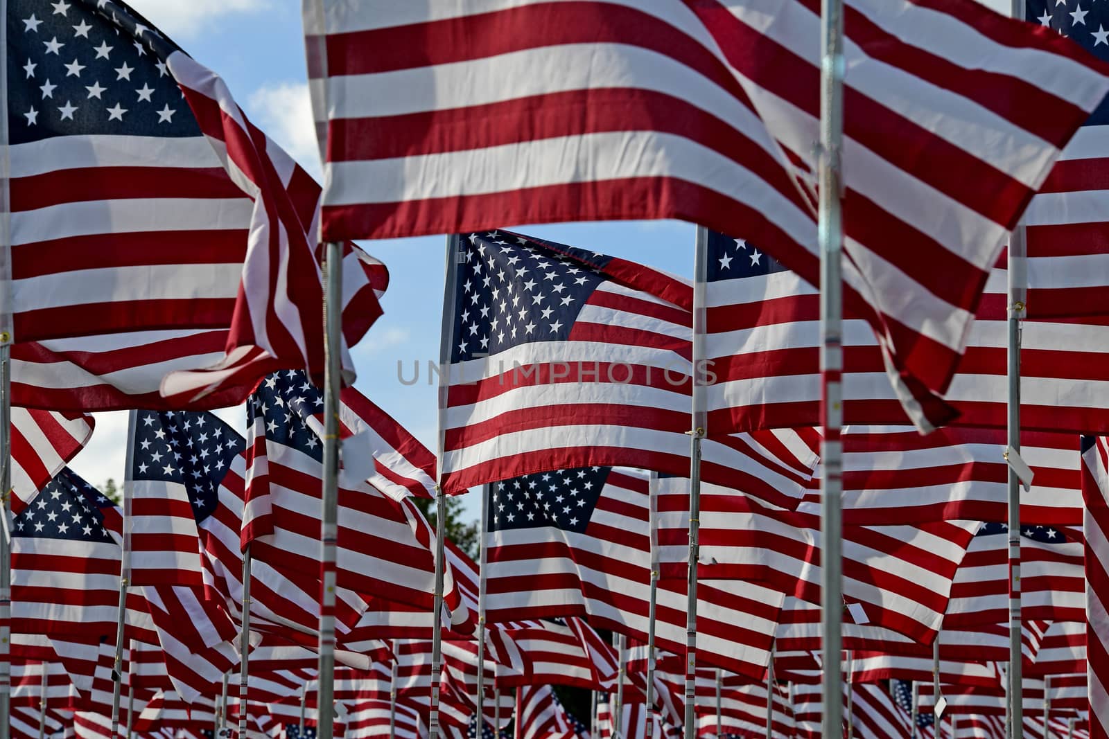 American Flags by jbyard22