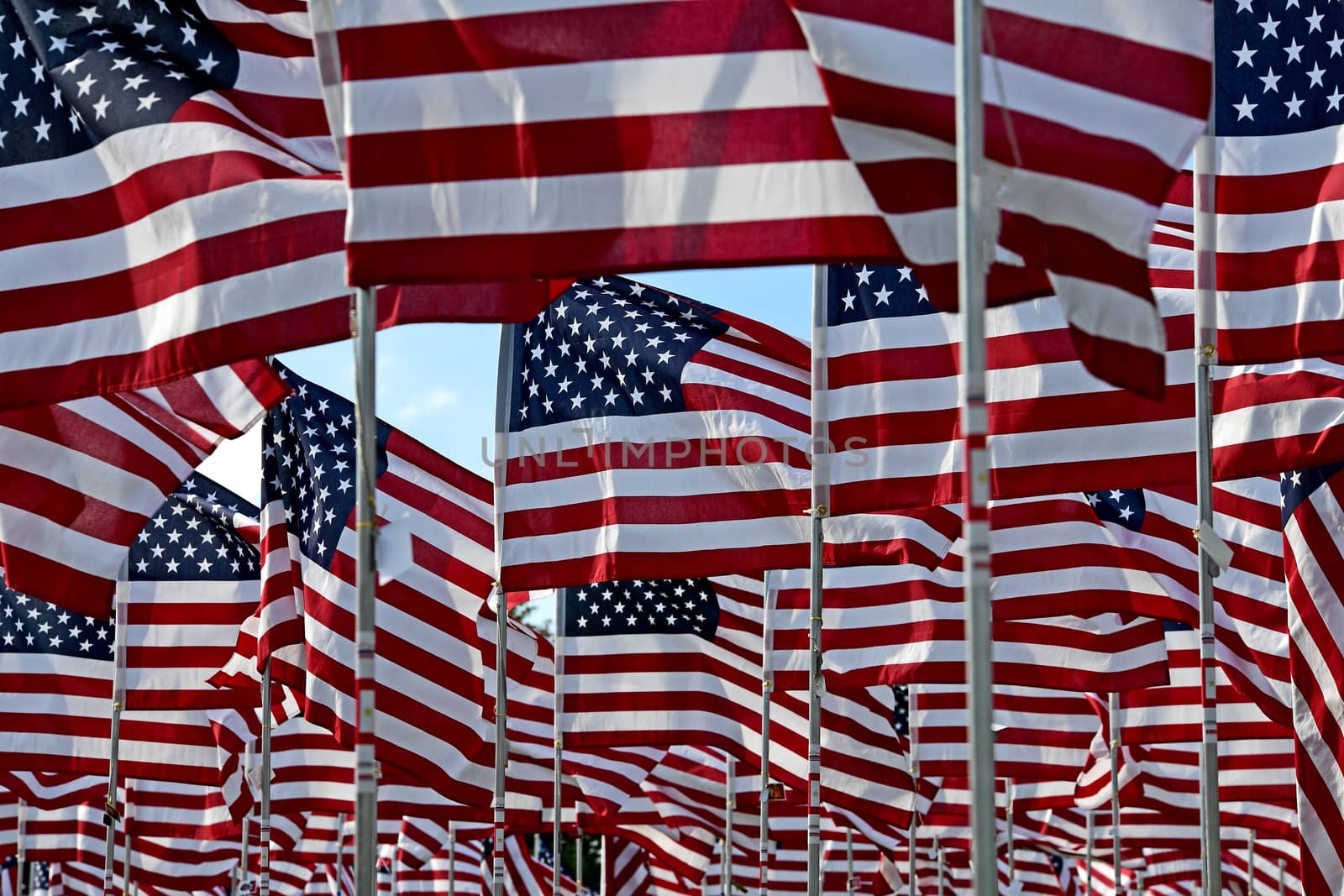 American Flags by jbyard22