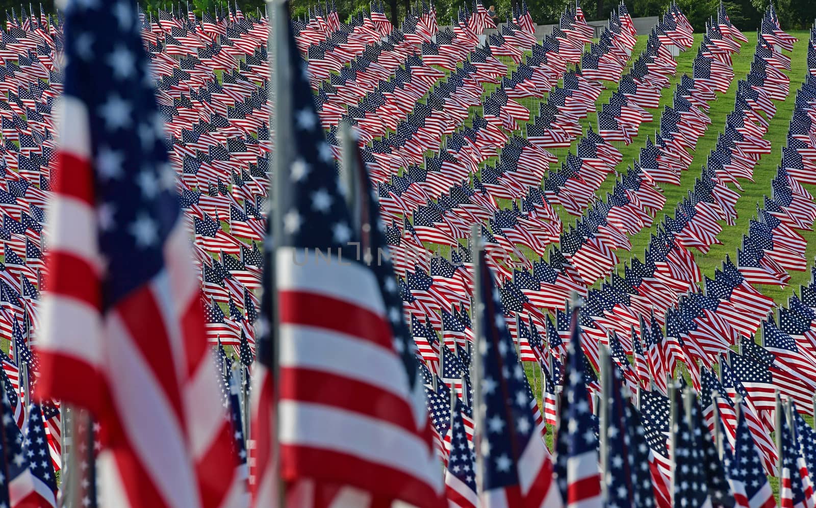 A field of American flags.