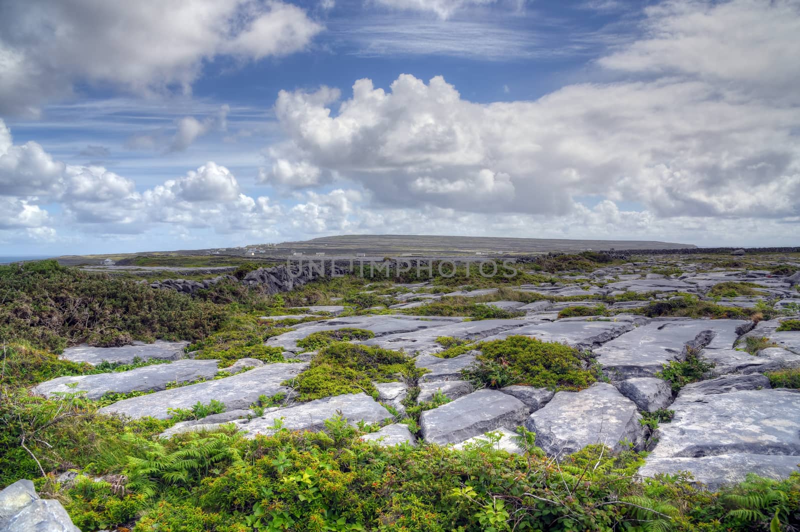 Aran Islands, Ireland by jbyard22