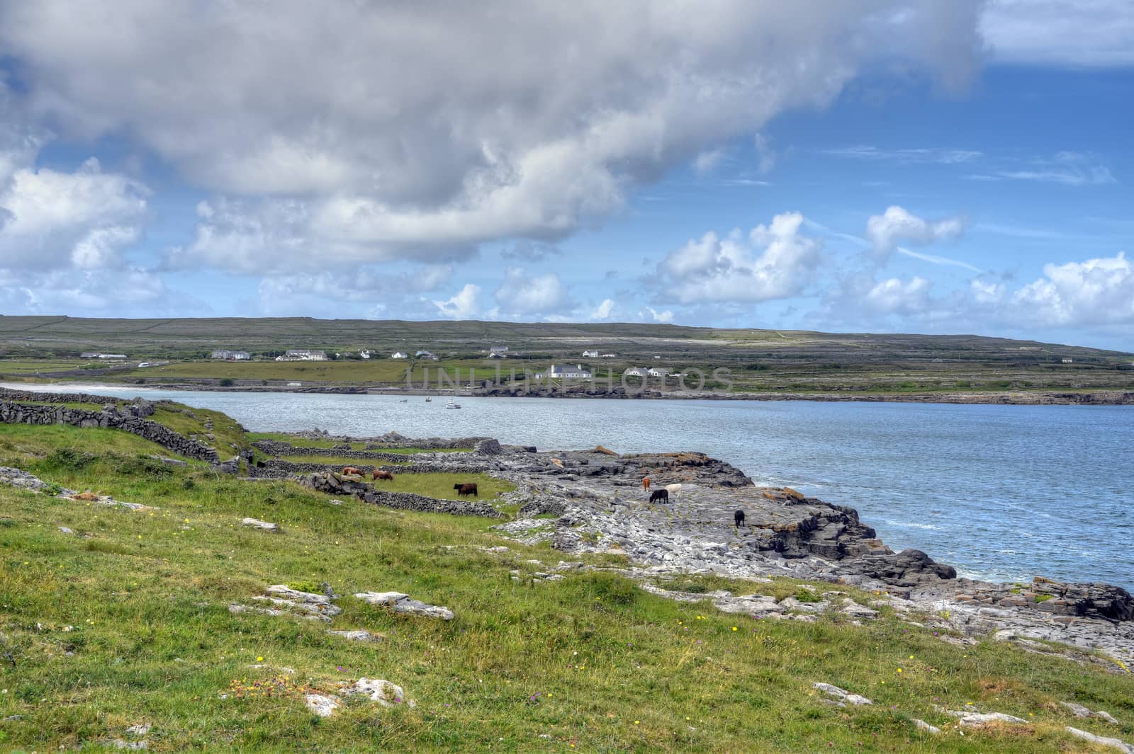 Aran Islands, Ireland by jbyard22