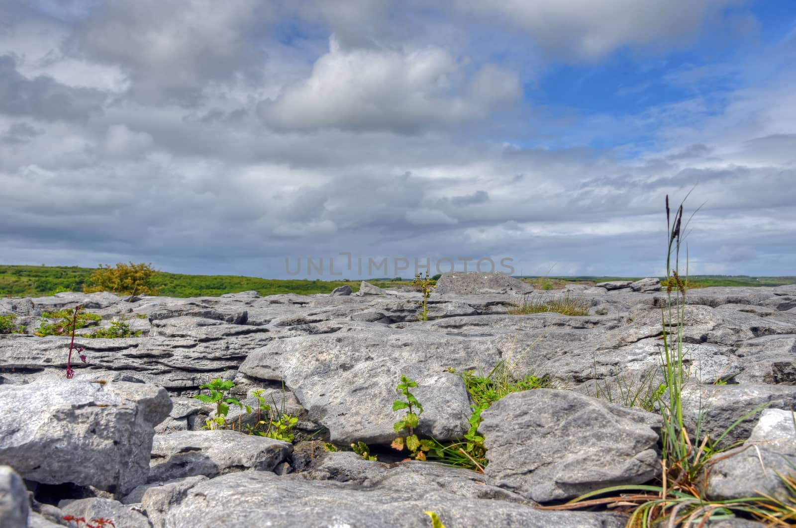 Limestone Field in the Burren, Ireland by jbyard22