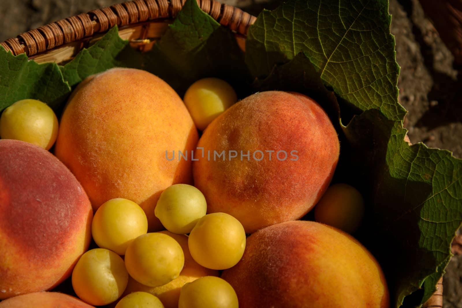 Orange peaches and cherry plums lie in a basket under the rays of a warm sunset