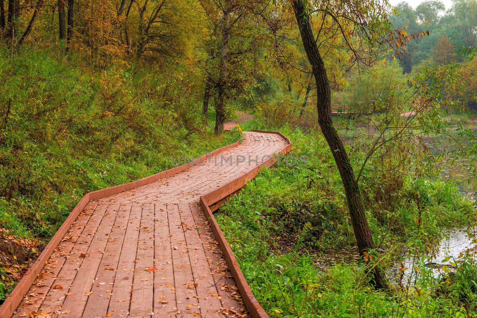 Wooden flooring in the park covered with fallen leaves, autumn landscape