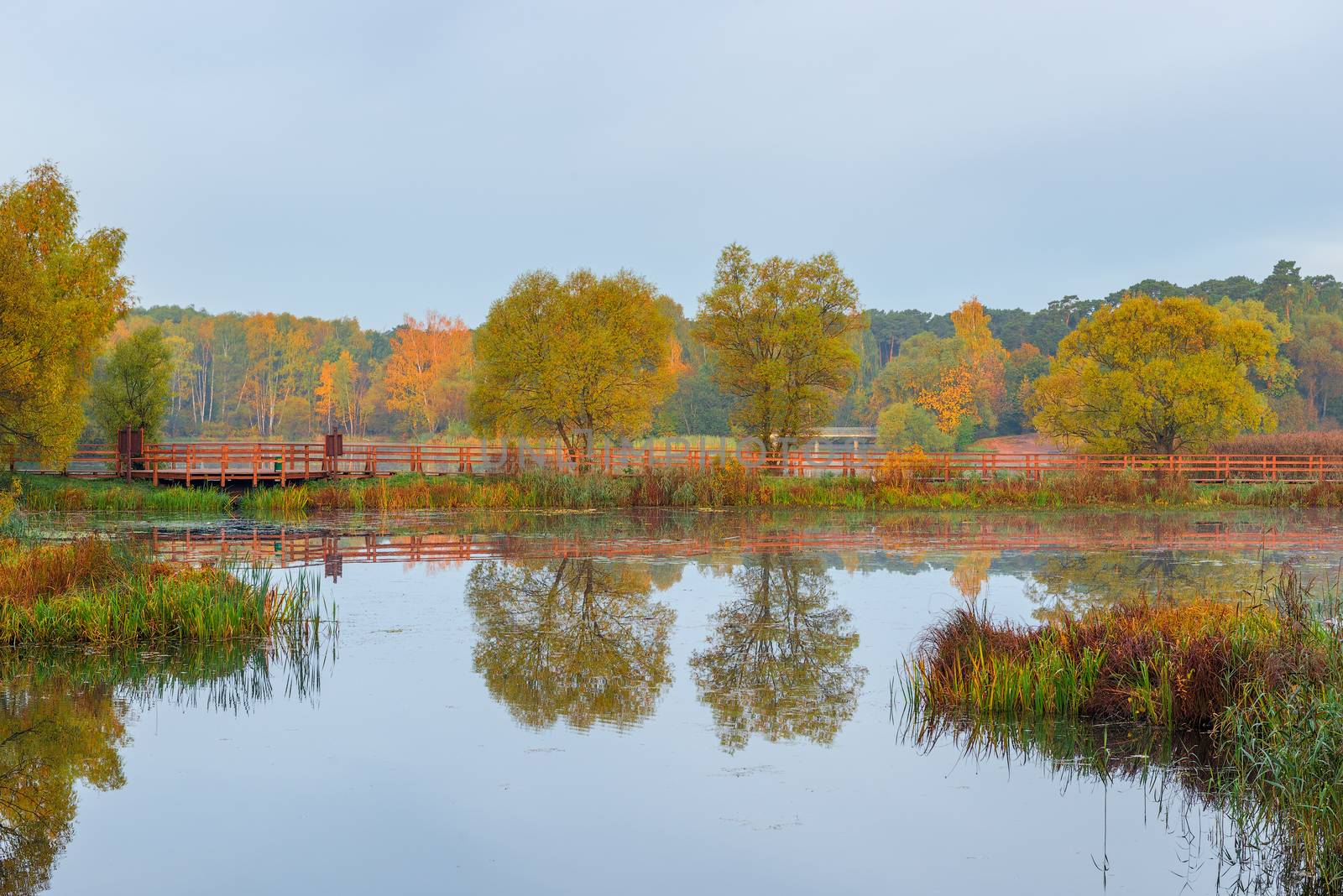 Beautiful calm autumn lake and colored trees by kosmsos111