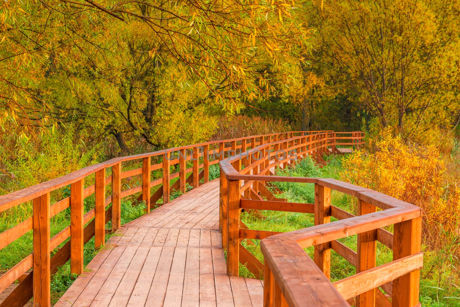 wooden bridge and a trail in an autumn empty park by kosmsos111