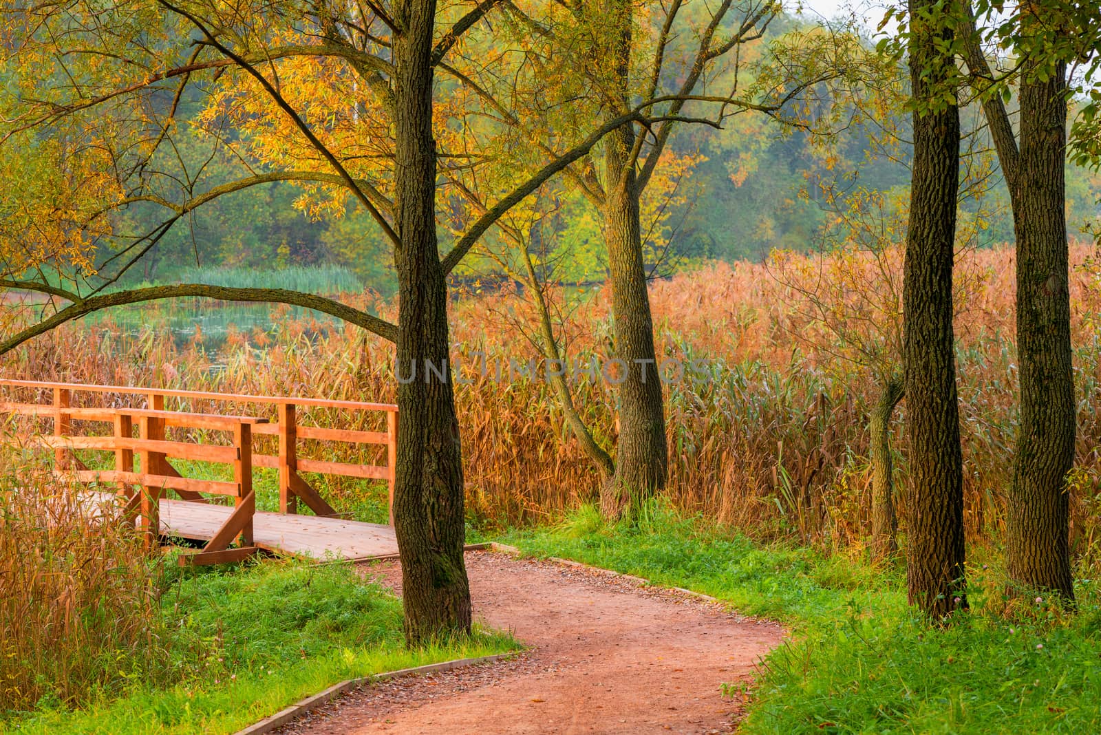 early morning in a beautiful empty autumn park with a lake by kosmsos111