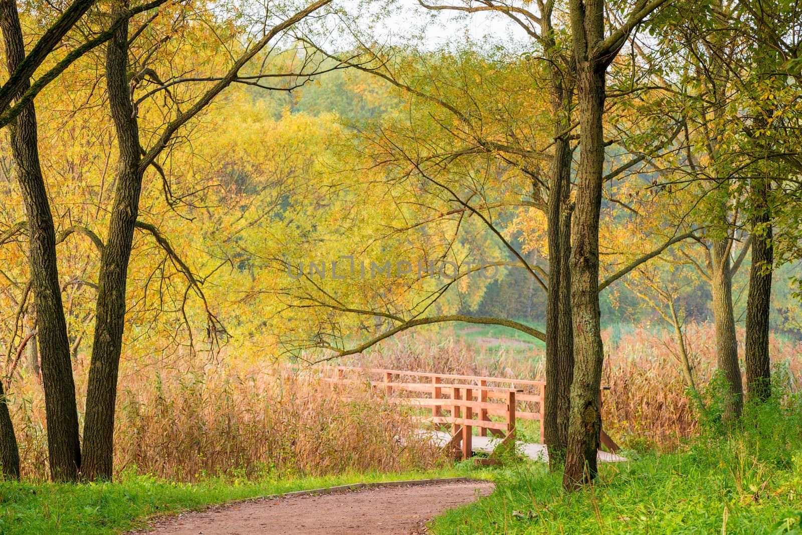 September - autumn landscape of an empty park in the beginning o by kosmsos111