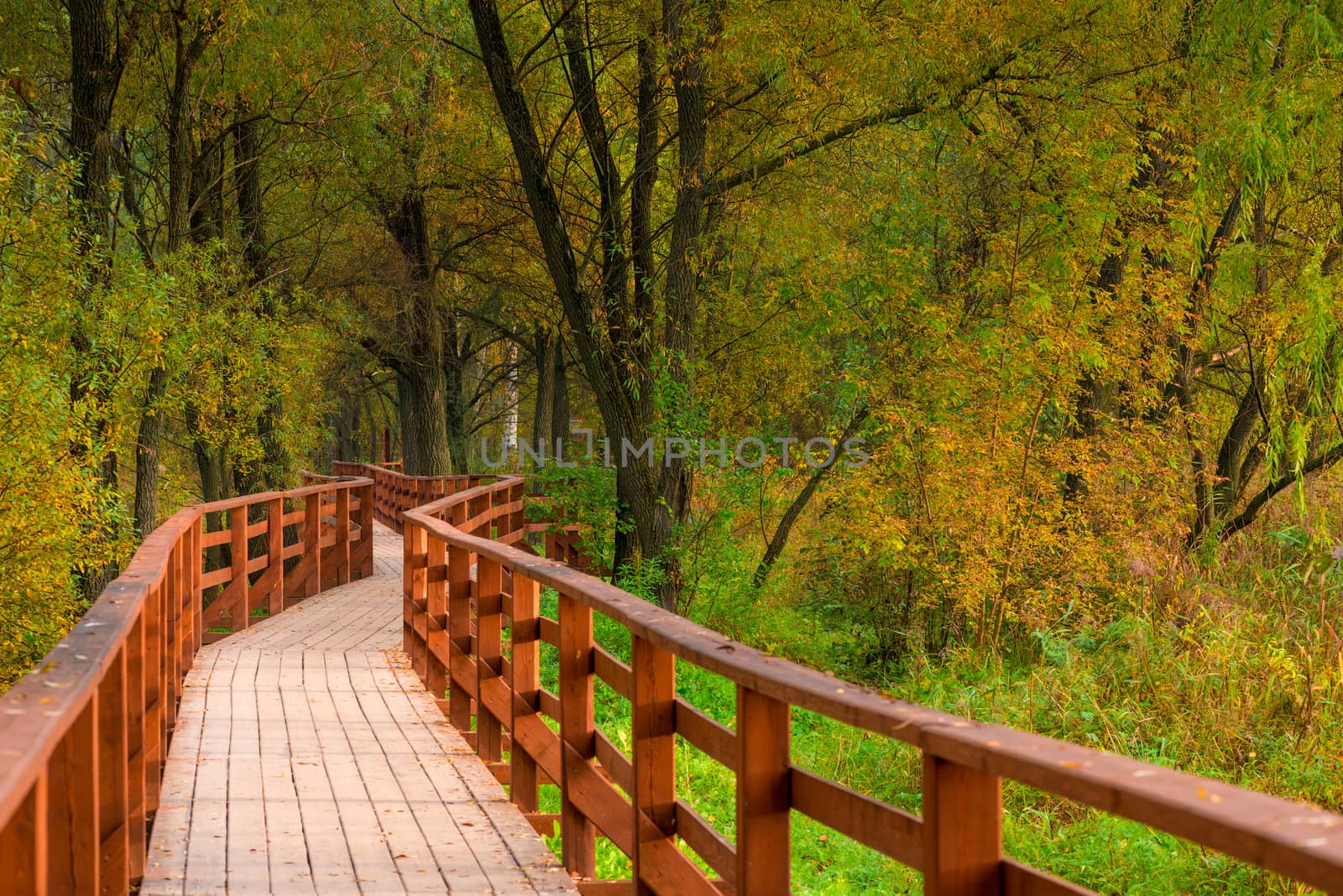 walking trail in the autumn empty park, September by kosmsos111