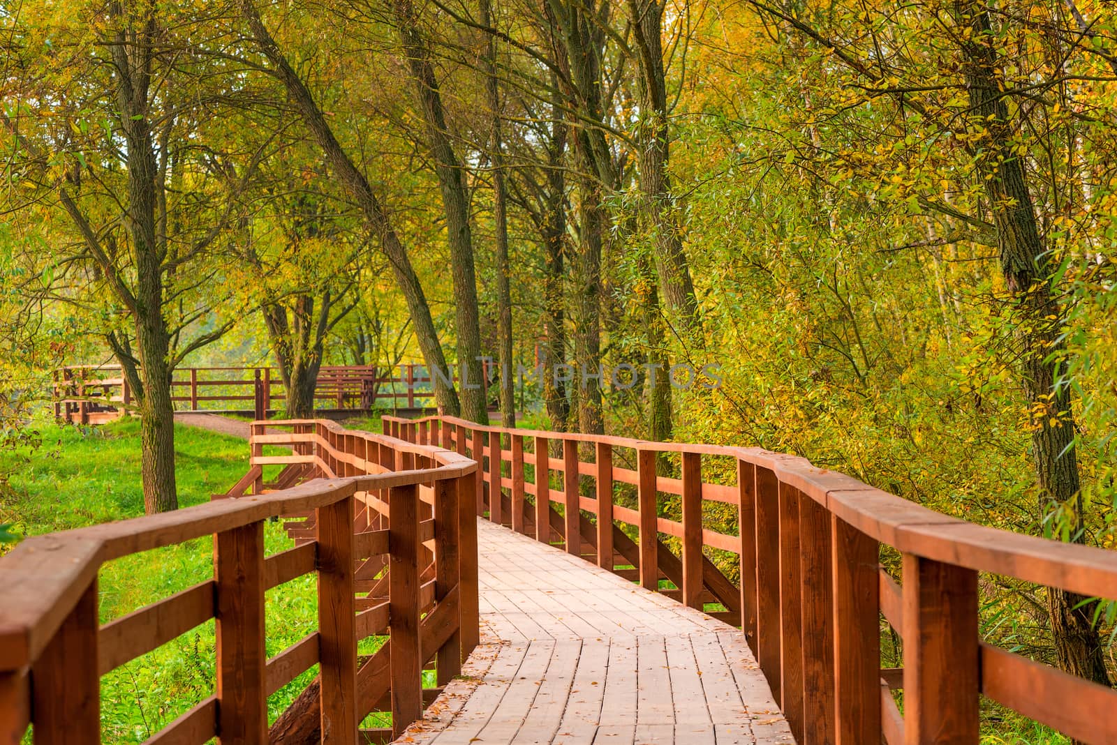 Beautiful autumn park with a wooden hiking trail by kosmsos111