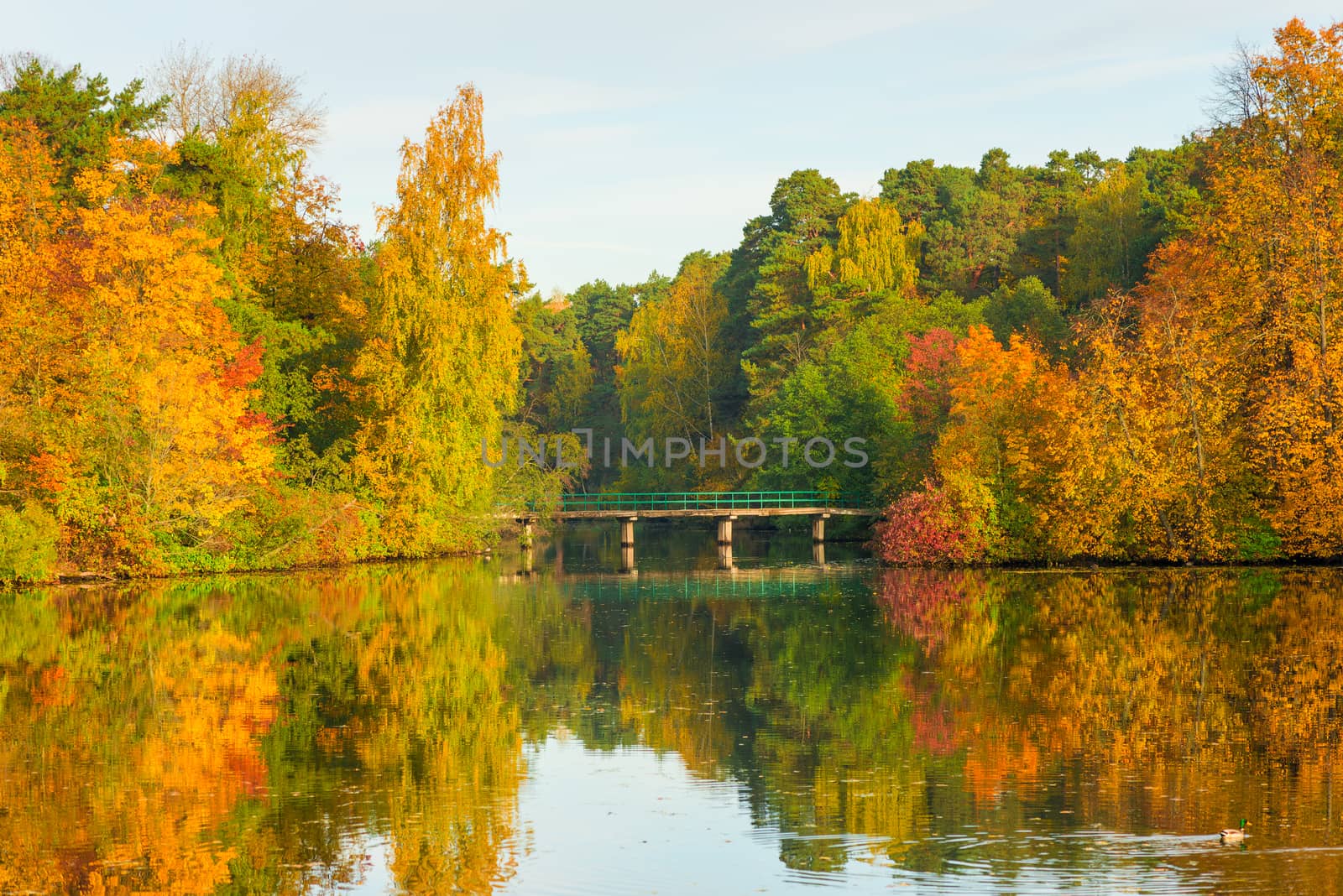 Scenic lake, autumn forest and bridge at sunset by kosmsos111