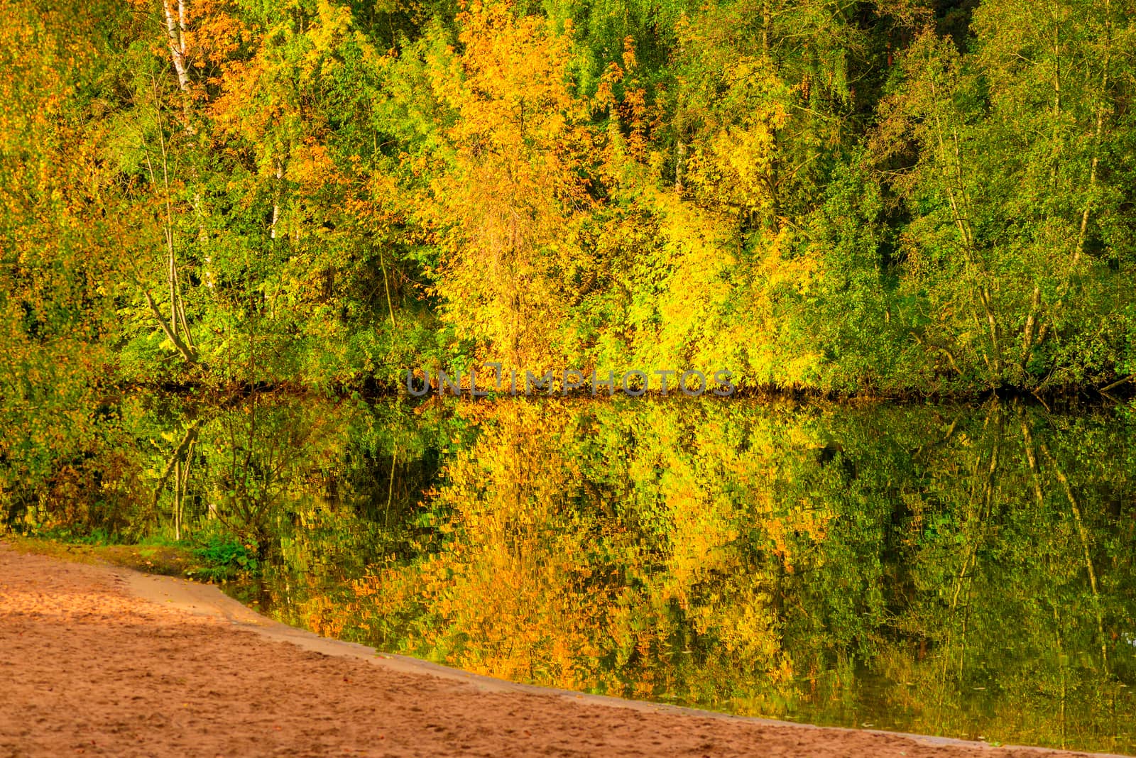 Bright beautiful autumn scenic landscape - trees and lake in the park