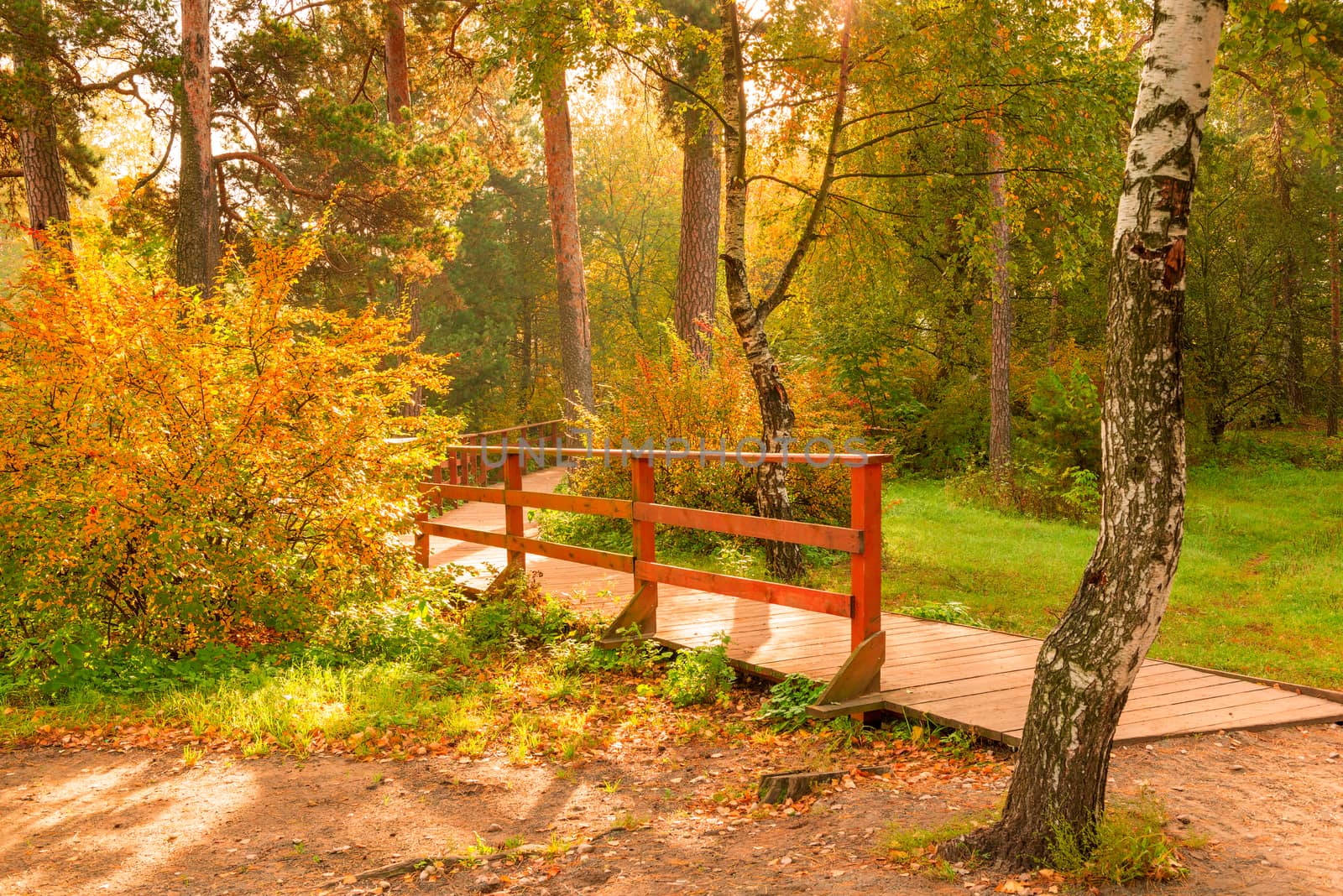 Sunny autumn day, picturesque park landscape in October