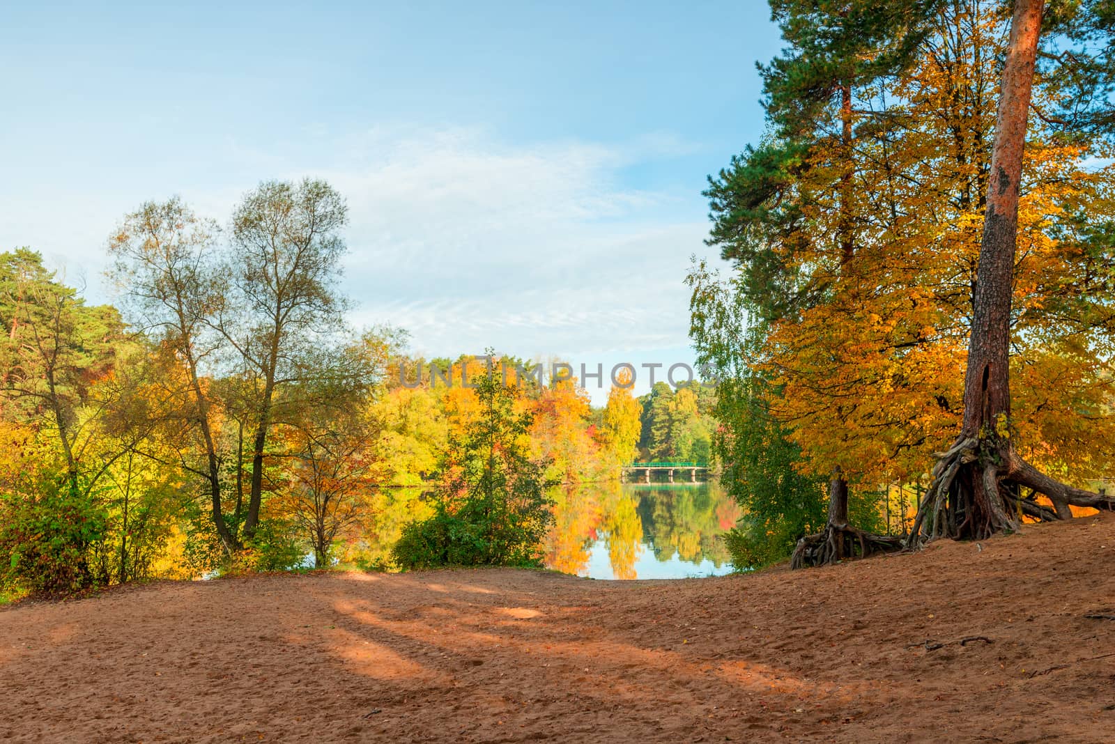 Yellow orange foliage of trees in a park on the shore of a picturesque lake, a beautiful autumn landscape