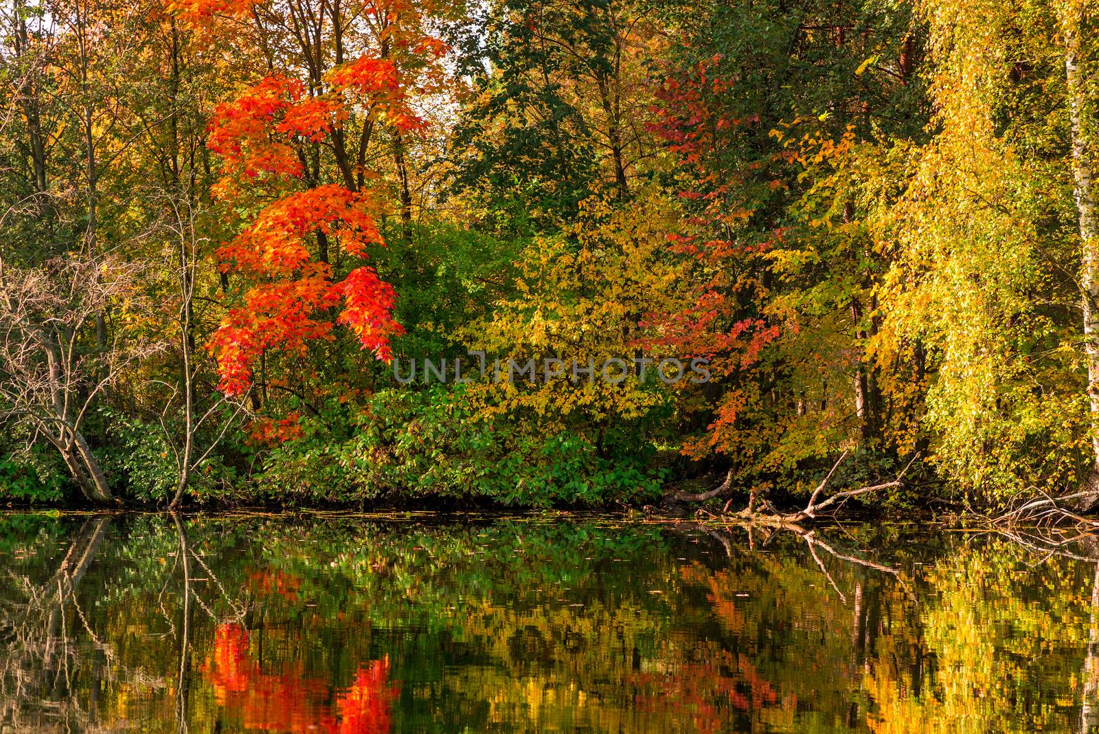 A calm beautiful lake with a reflection in the water of colorful by kosmsos111