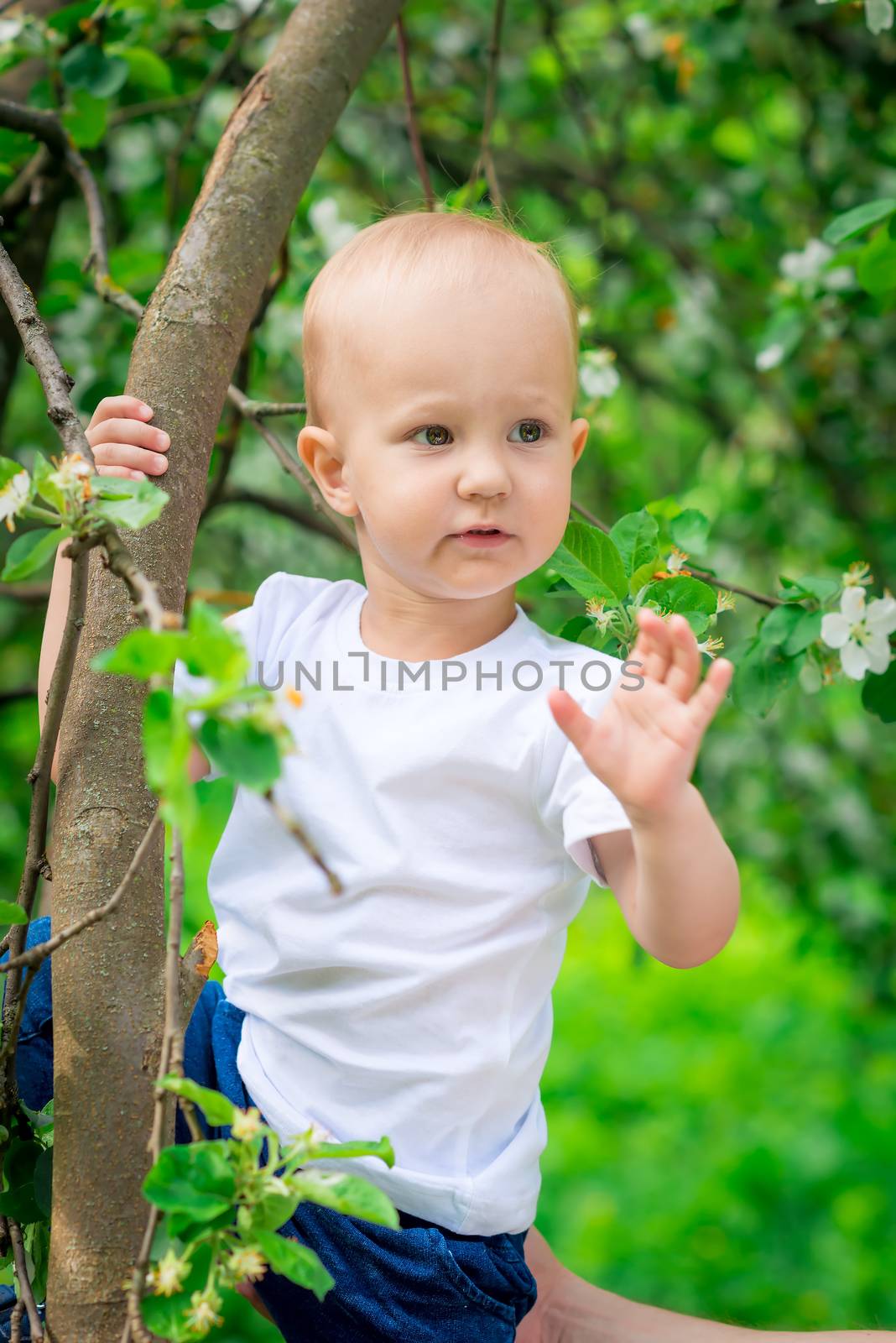 boy in a spring park near a tree