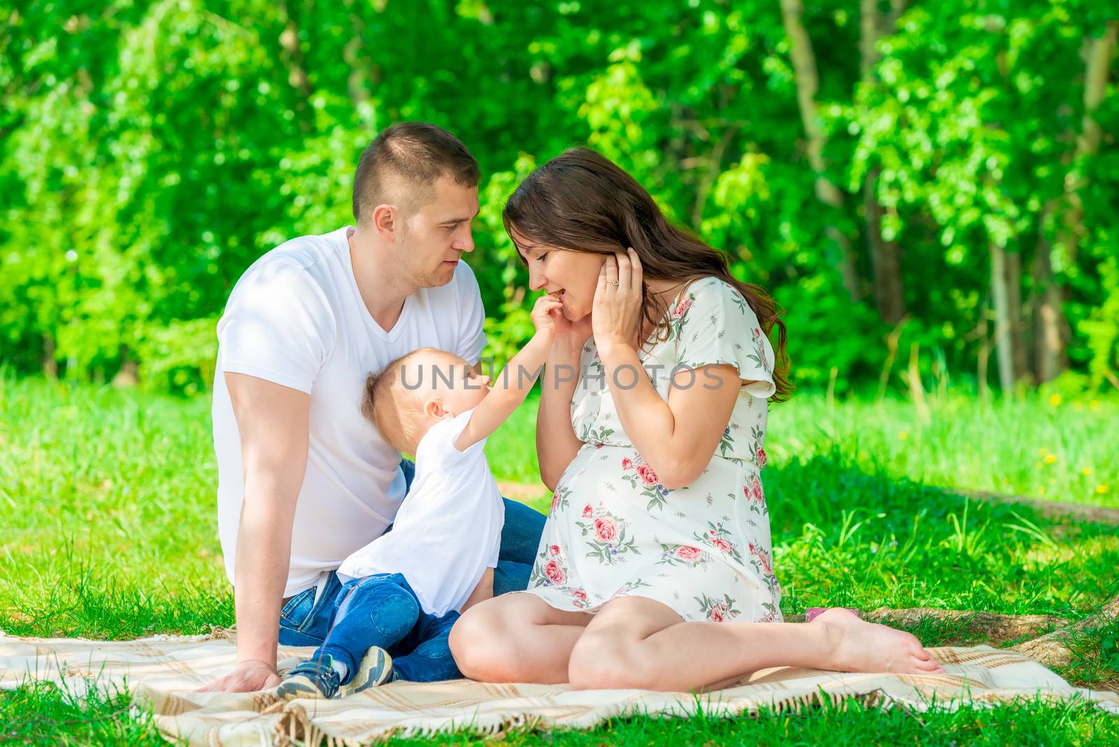 happy family on the blanket resting in the park, pregnant mother