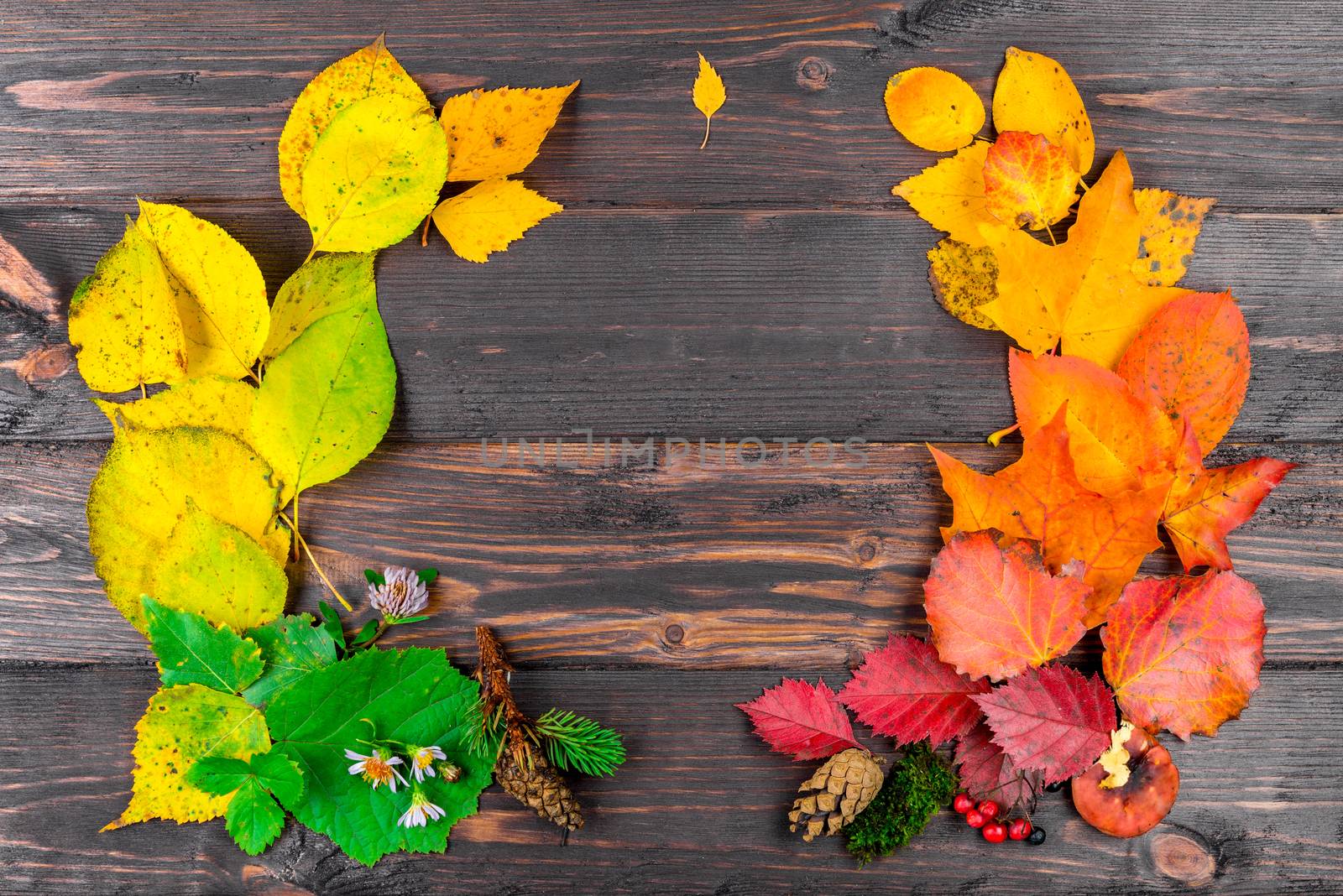 The space is framed by beautiful autumn leaves from the forest f by kosmsos111