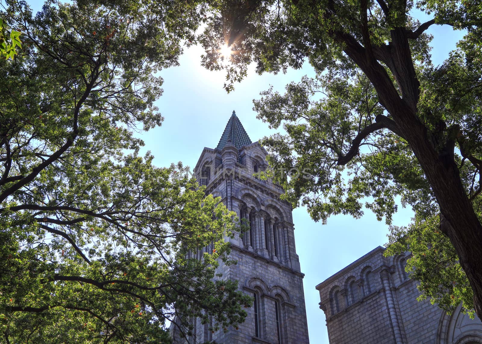 St. Louis, Missouri, USA - August 18, 2017: The Cathedral Basilica of Saint Louis on Lindell Boulevard in St. Louis, Missouri.