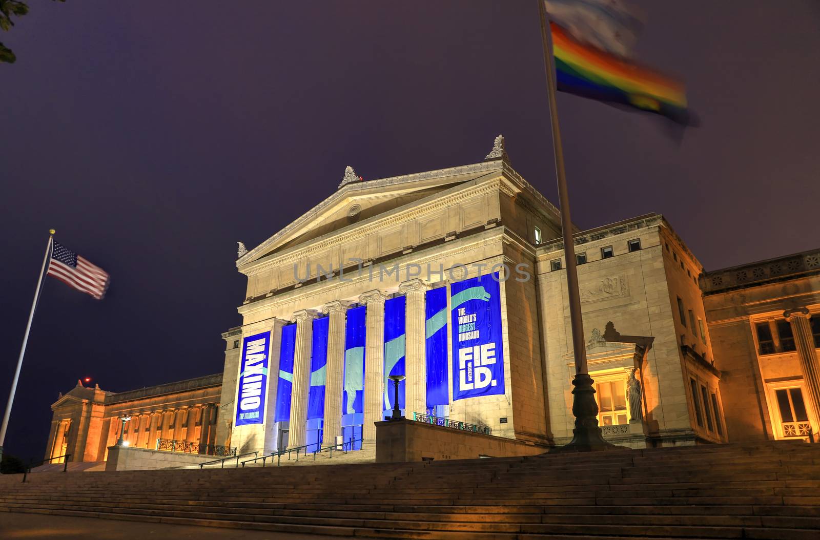 Field Museum in Chicago, Illinois by jbyard22