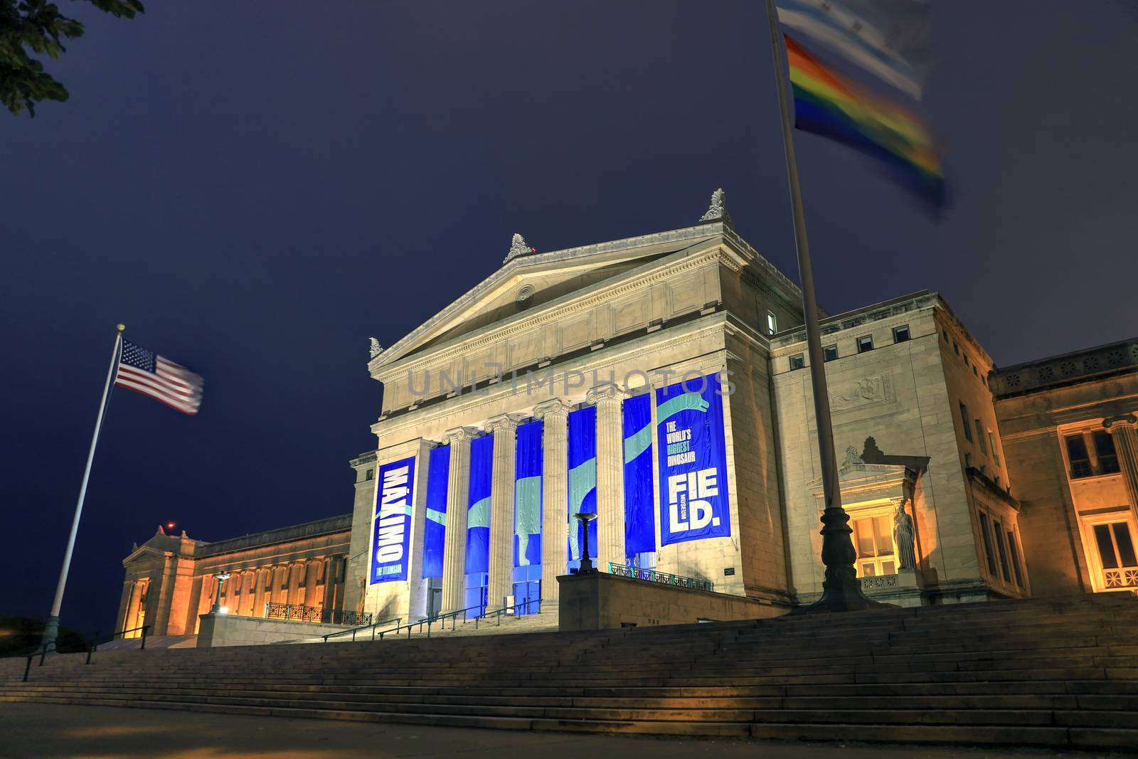 Chicago, Illinois, USA - June 22, 2018: The Field Museum. The natural history museum in Chicago, is one of the largest such museums in the world.