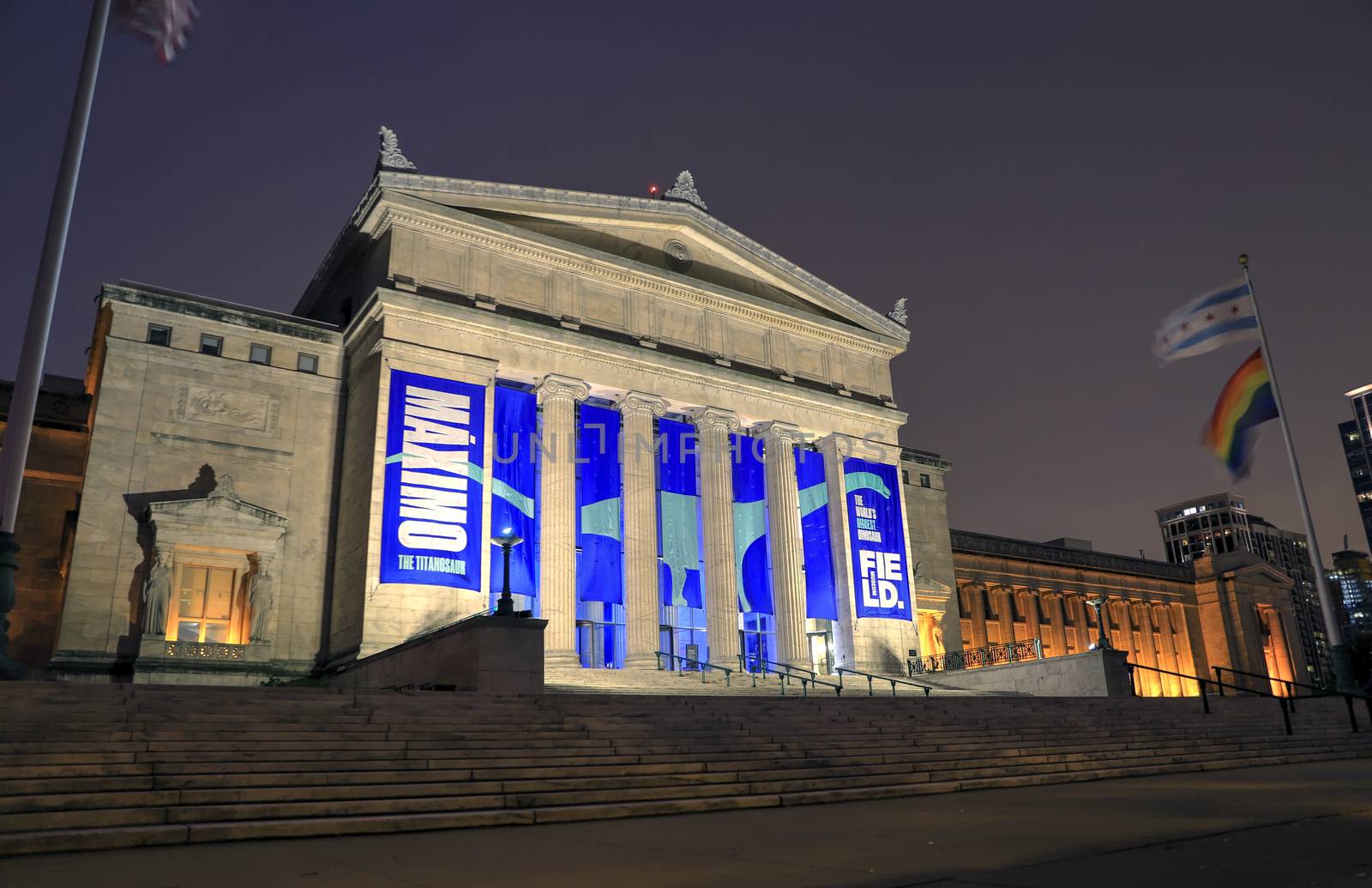 Field Museum in Chicago, Illinois by jbyard22