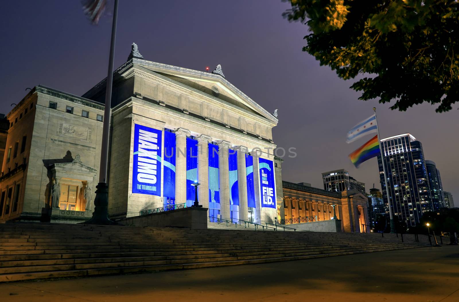 Field Museum in Chicago, Illinois by jbyard22