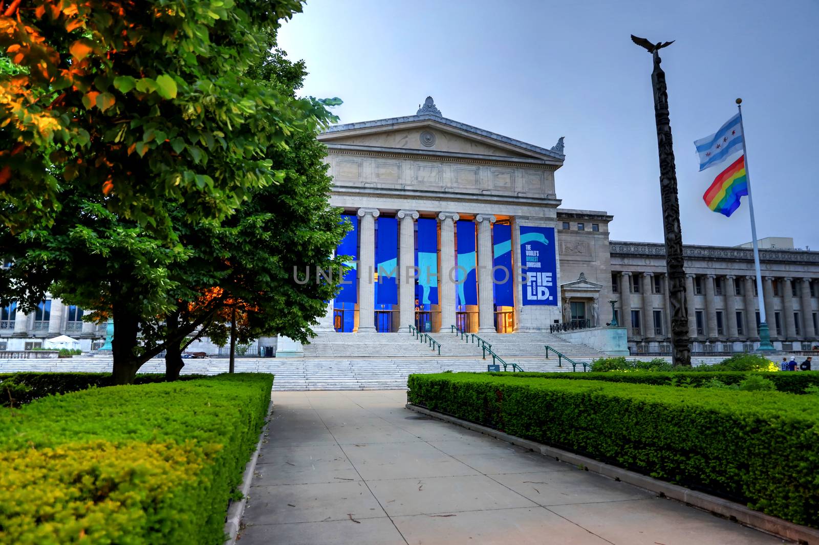 Chicago, Illinois, USA - June 22, 2018: The Field Museum. The natural history museum in Chicago, is one of the largest such museums in the world.