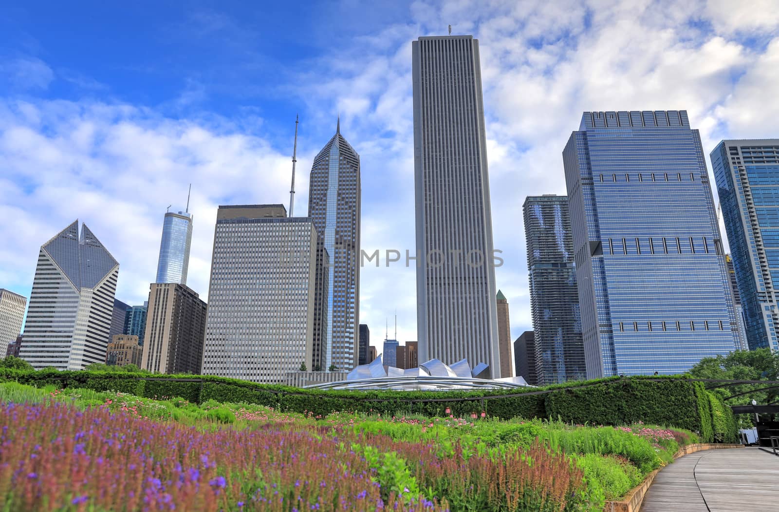 Chicago, Illinois skyline from Lurie Garden by jbyard22