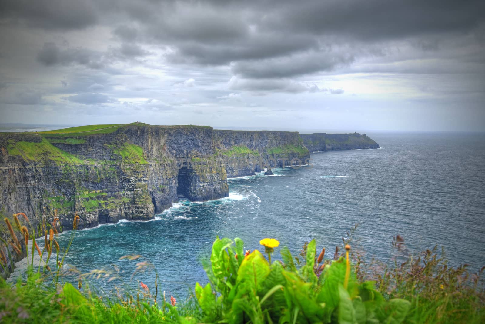 Ireland's Cliffs of Moher