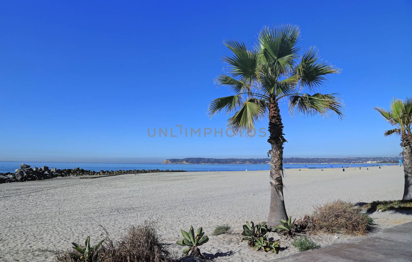 Coronado Beach just outside of San Diego, California by jbyard22