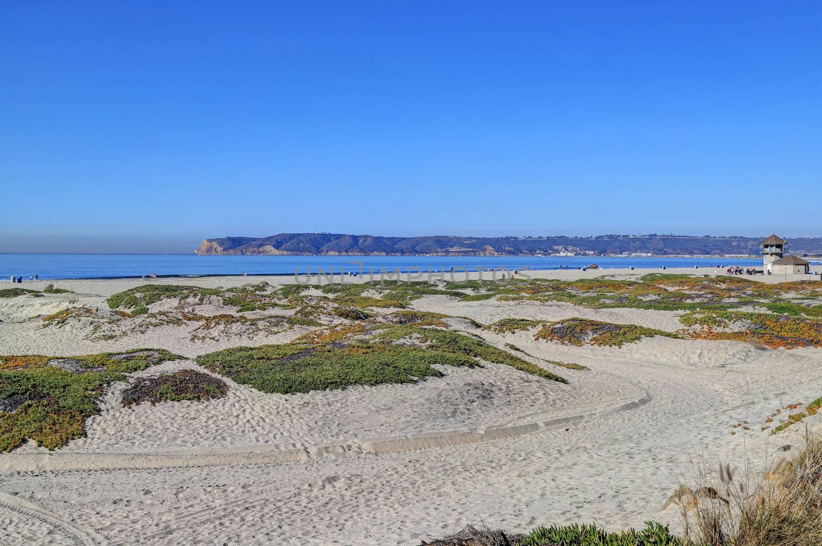 Coronado Beach just outside of San Diego, California by jbyard22