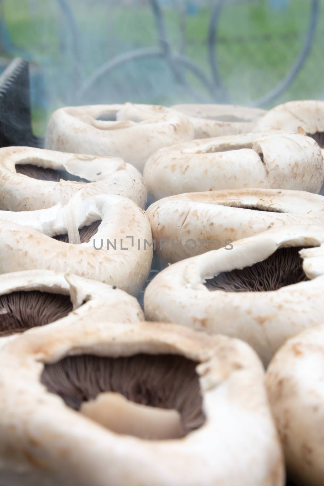 Tasty mushrooms grilled outside. Small depth of field