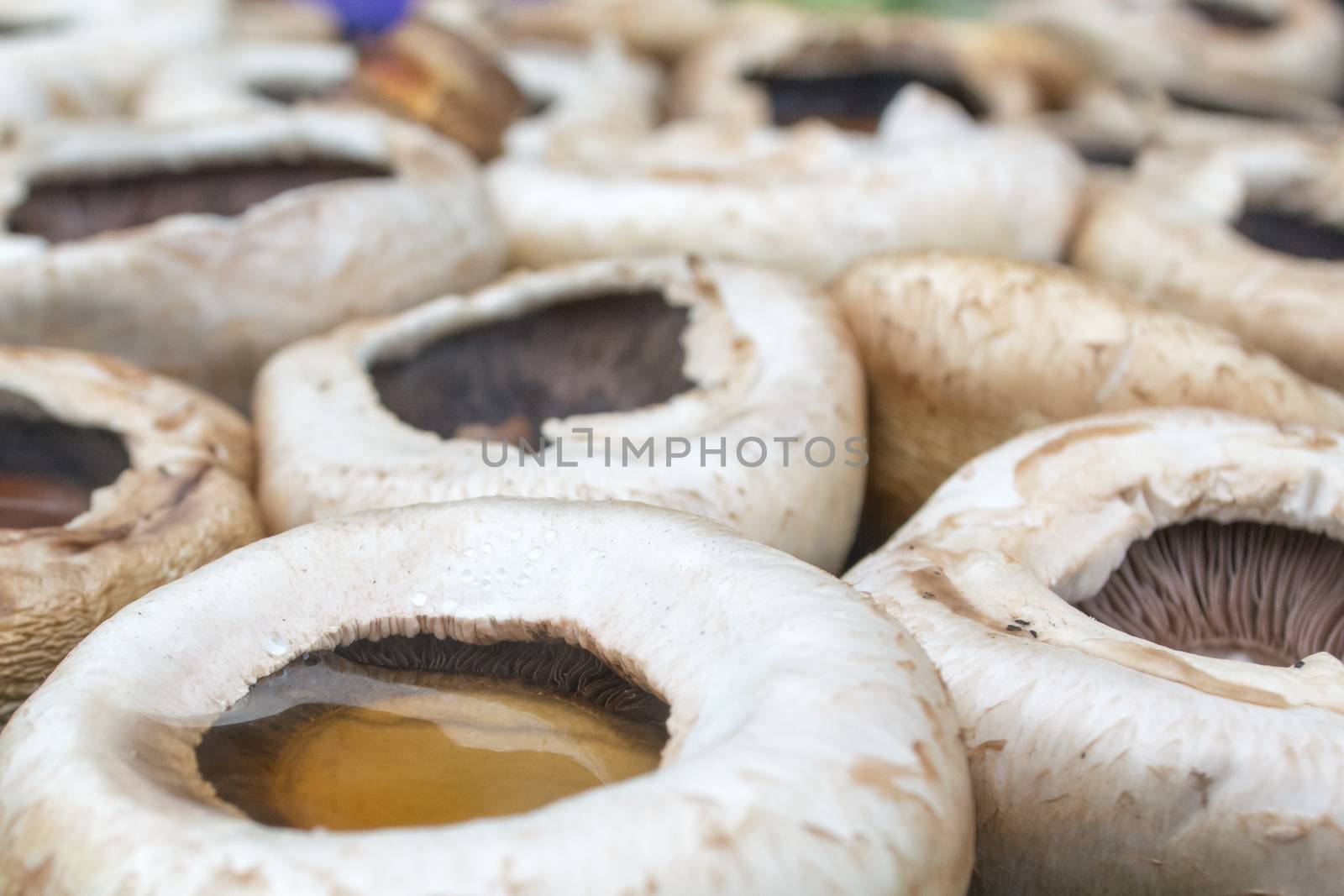 Tasty mushrooms grilled outside. Small depth of field