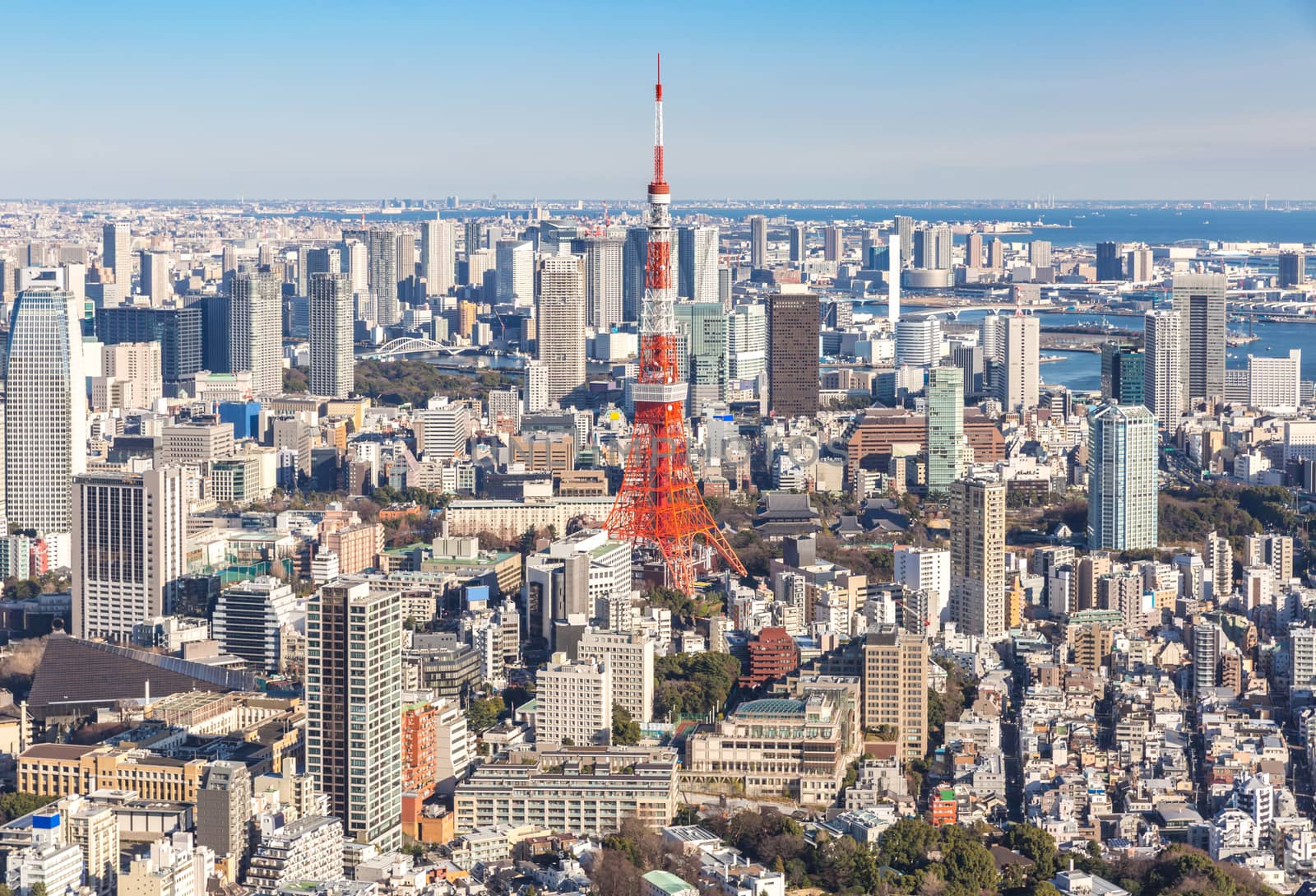 Tokyo Tower with skyline in Tokyo Japan