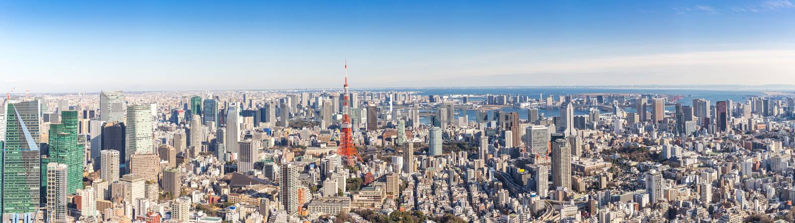 Tokyo Tower with skyline in Tokyo Japan Panorama